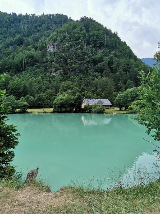 Apartment Petra Mojstrana Zewnętrze zdjęcie