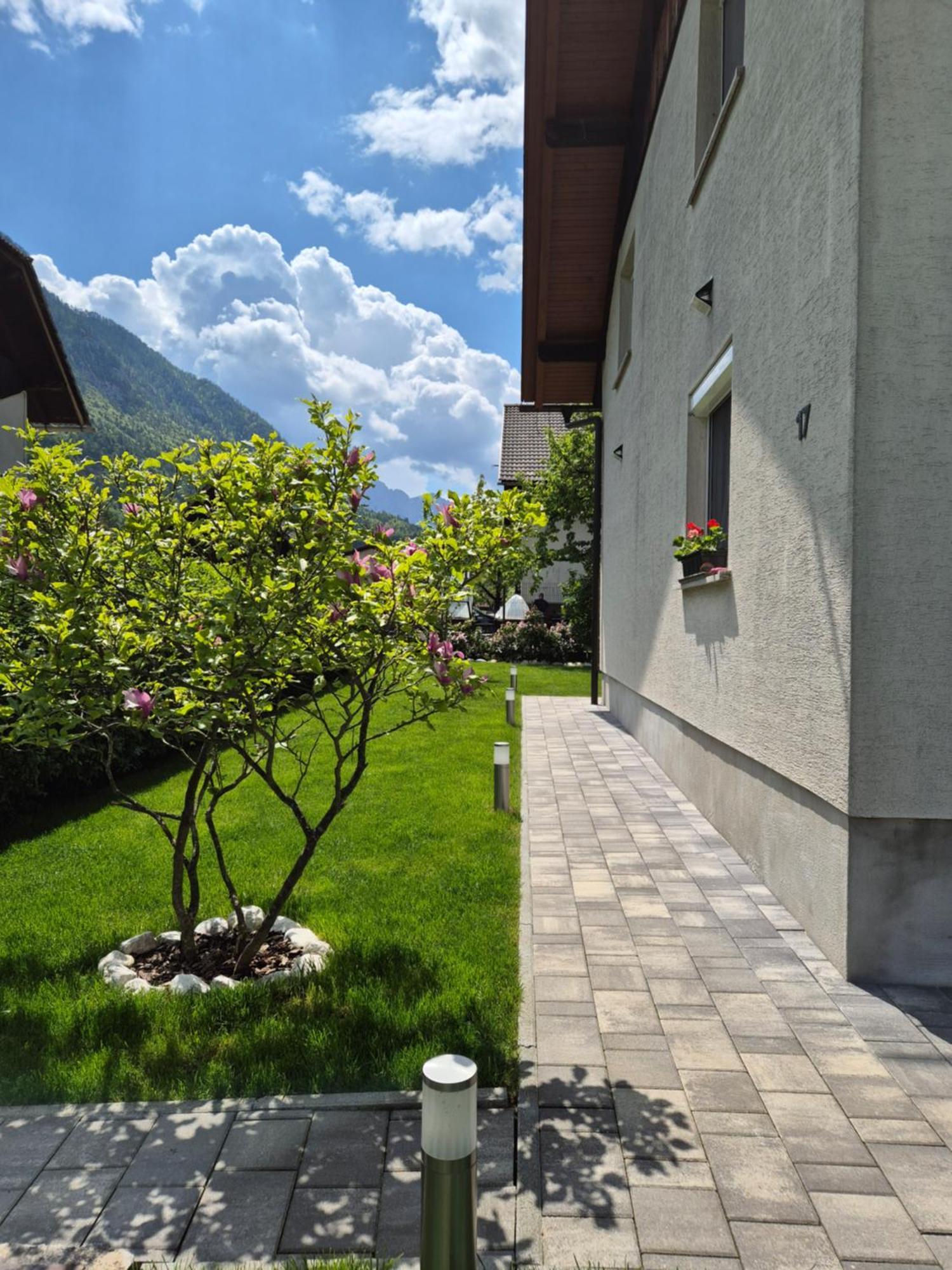 Apartment Petra Mojstrana Zewnętrze zdjęcie